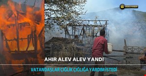  Yakılan anız ahırı yaktı eve sıçramadan söndürüldü